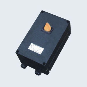 BLG8030系列防爆防腐隔離開關(IIC、Ex tD)